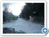 ciprina3